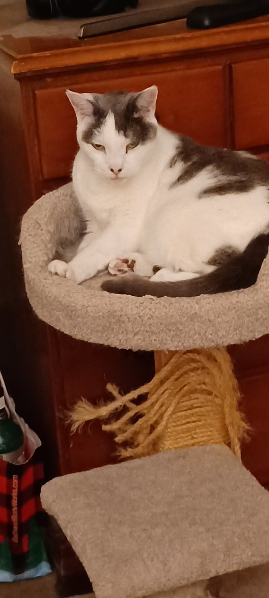 Hash Howard tweet media