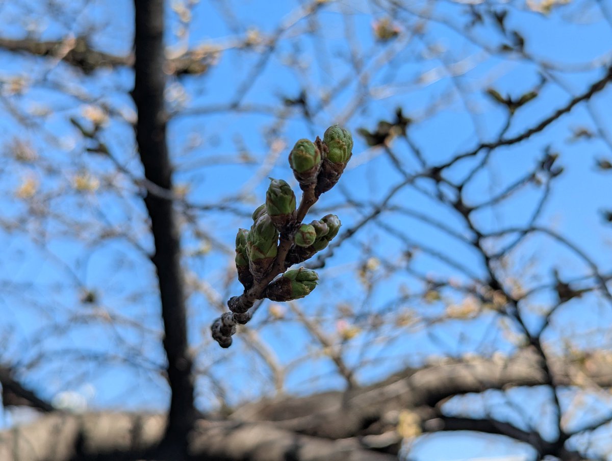 じてんしゃP tweet media