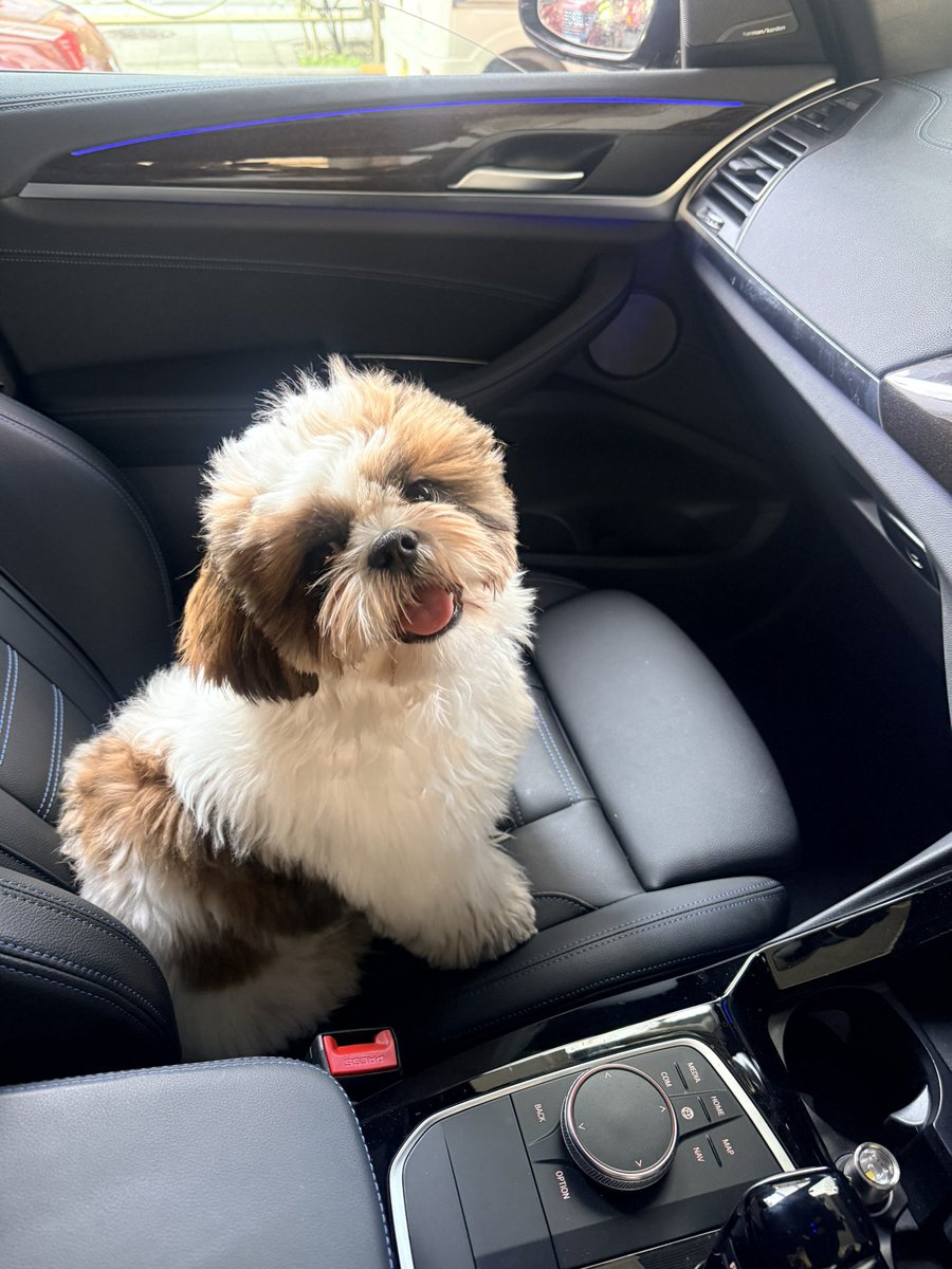 Kazutaka kodaka/小高和剛 tweet media