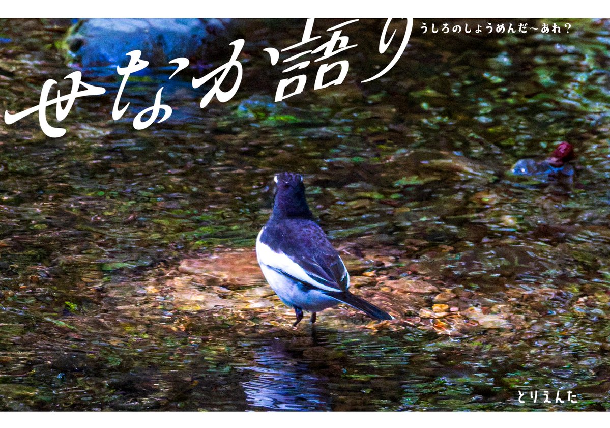 すばる tweet media