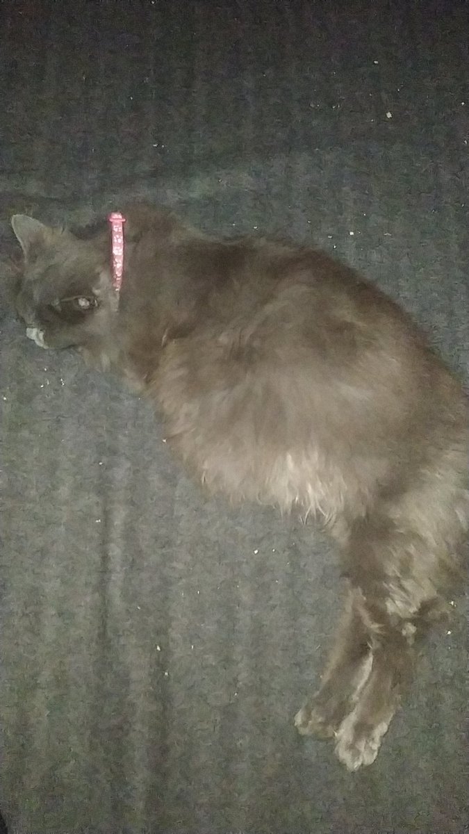 Yousef🇵🇸 tweet media