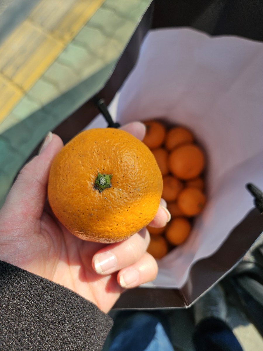 티템TITEM tweet media