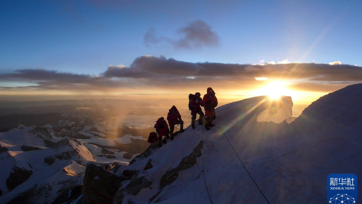 Nick Buckley tweet media