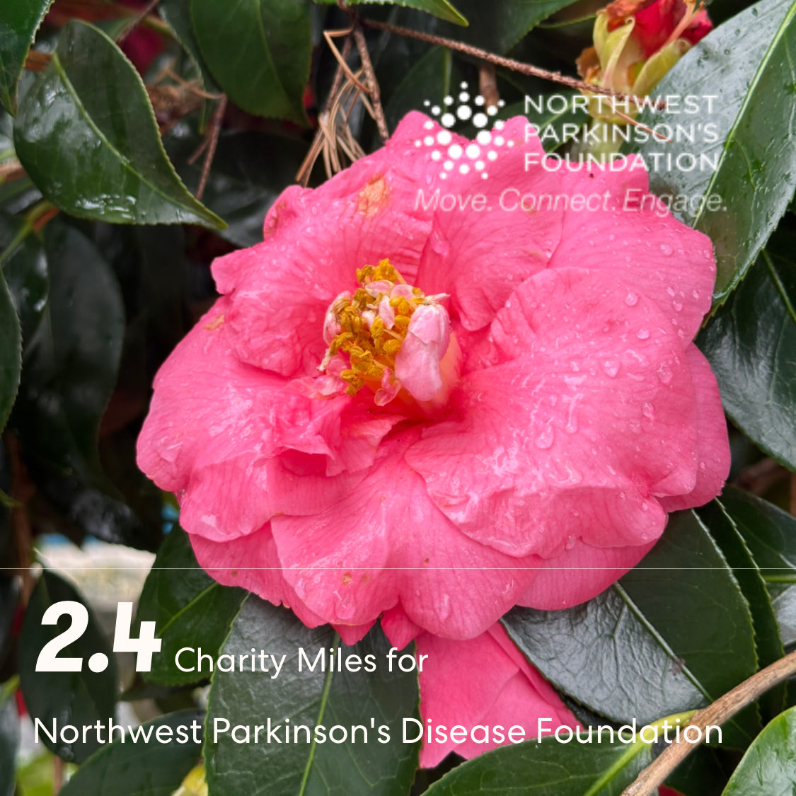 Grove Ayers tweet media