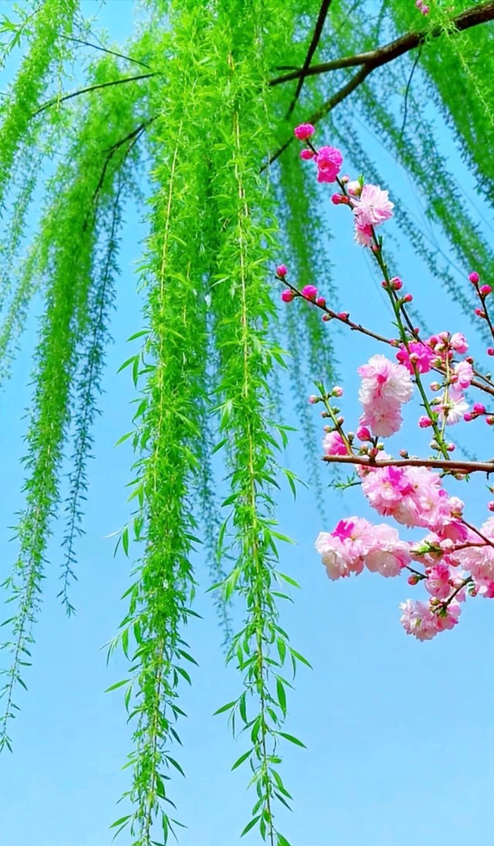 不负春光