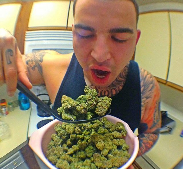 Crypto Mafia tweet media