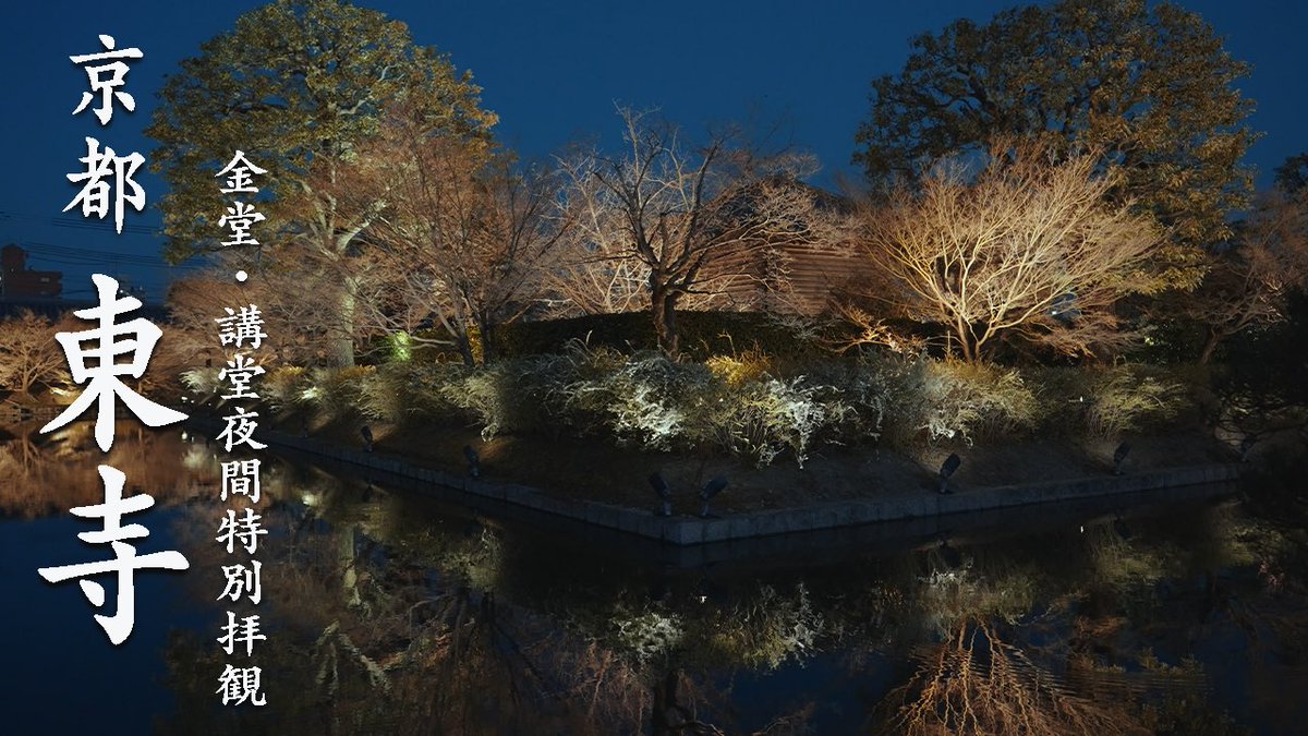 TOSHI!柴田 tweet media