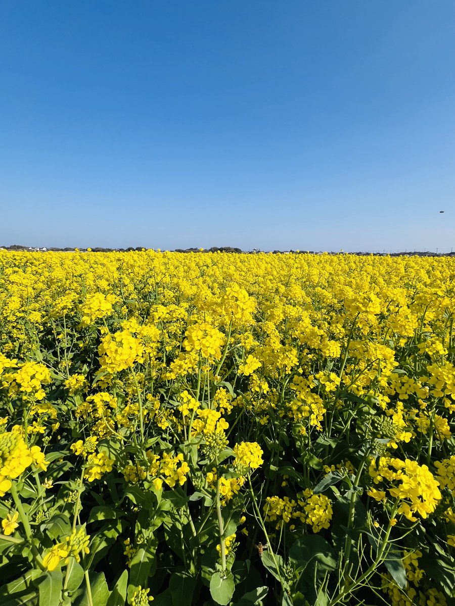 SmB CAFE - 中野坂上 - tweet media