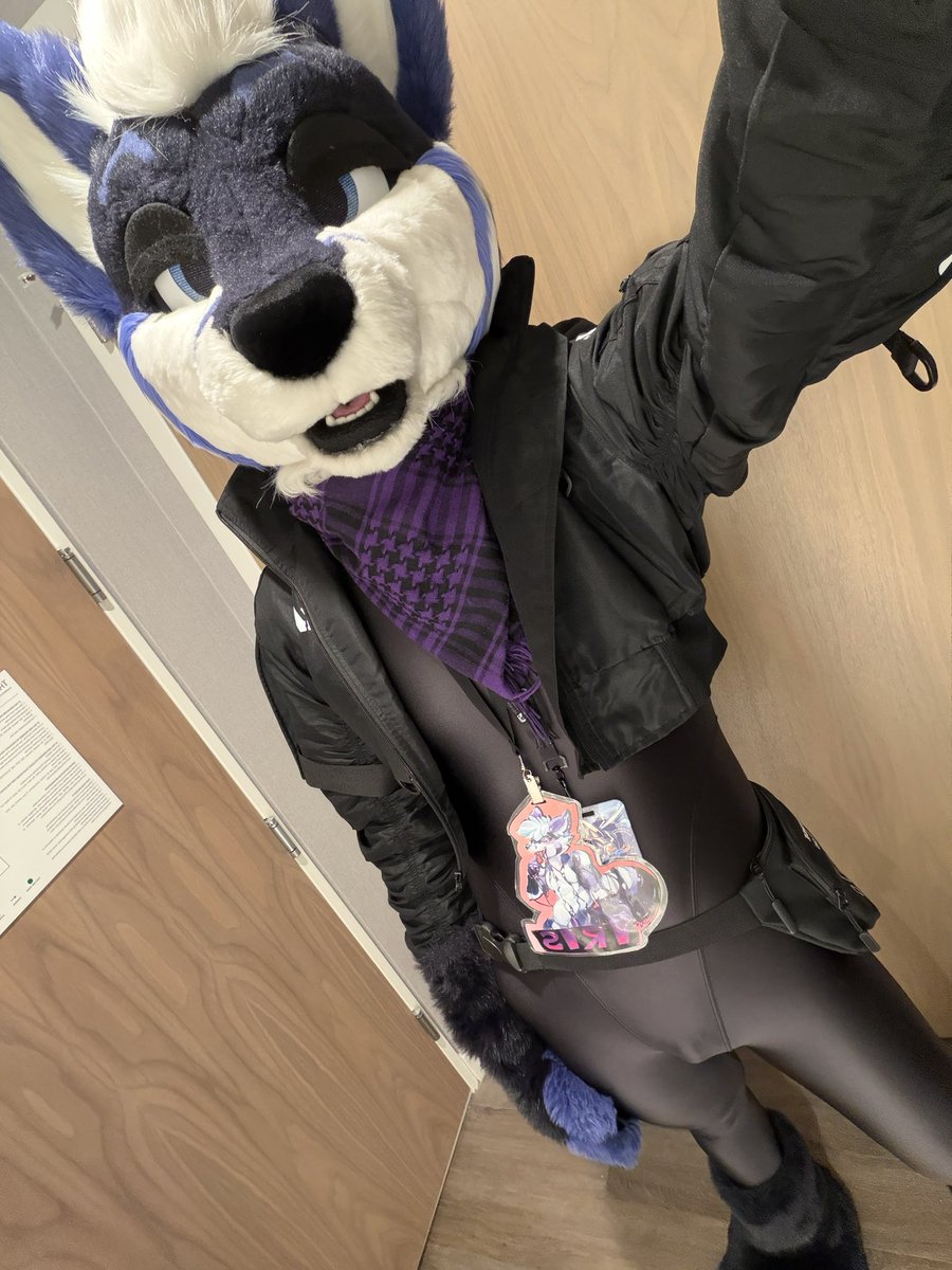 🦊 Iris 🦊 @ FE tweet media