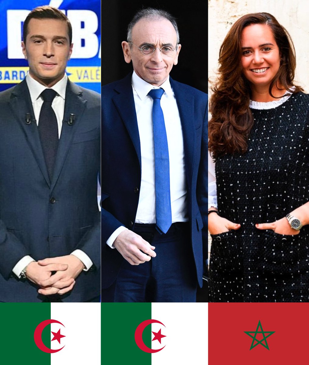 maïssdelacolline 🐢 🌈🇵🇸🍉✊️🤘🏴‍☠️ tweet media