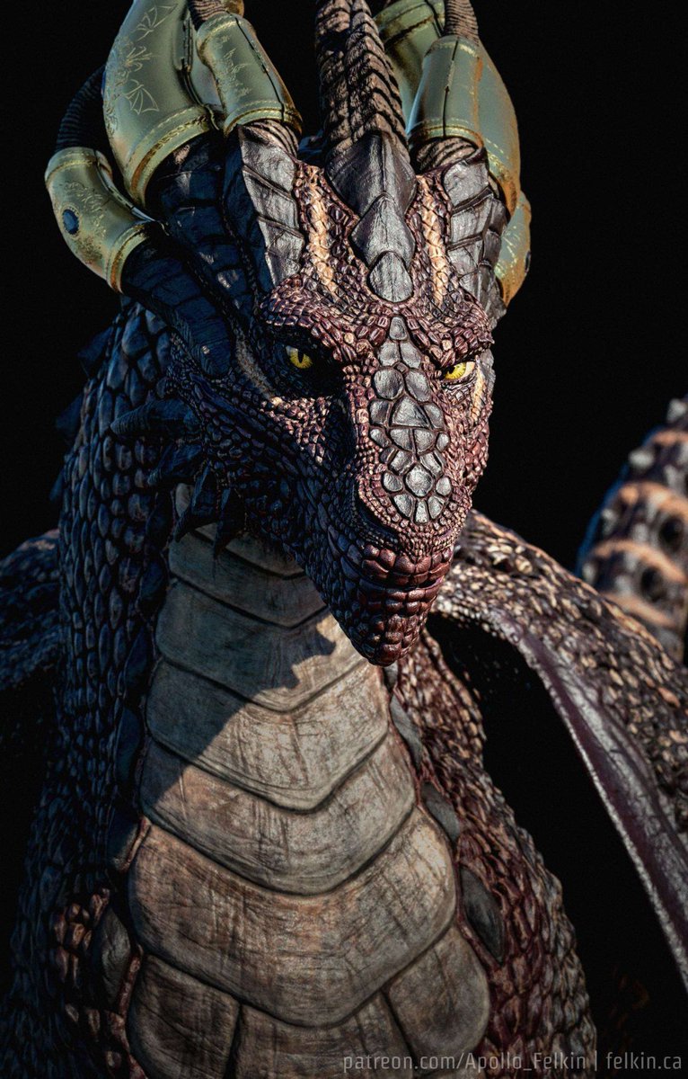 Apollo 👑 tweet media