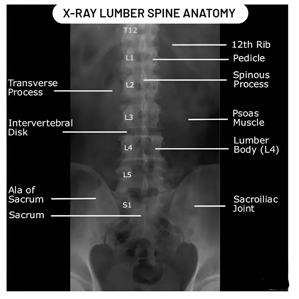 Seraj Ajaj tweet media