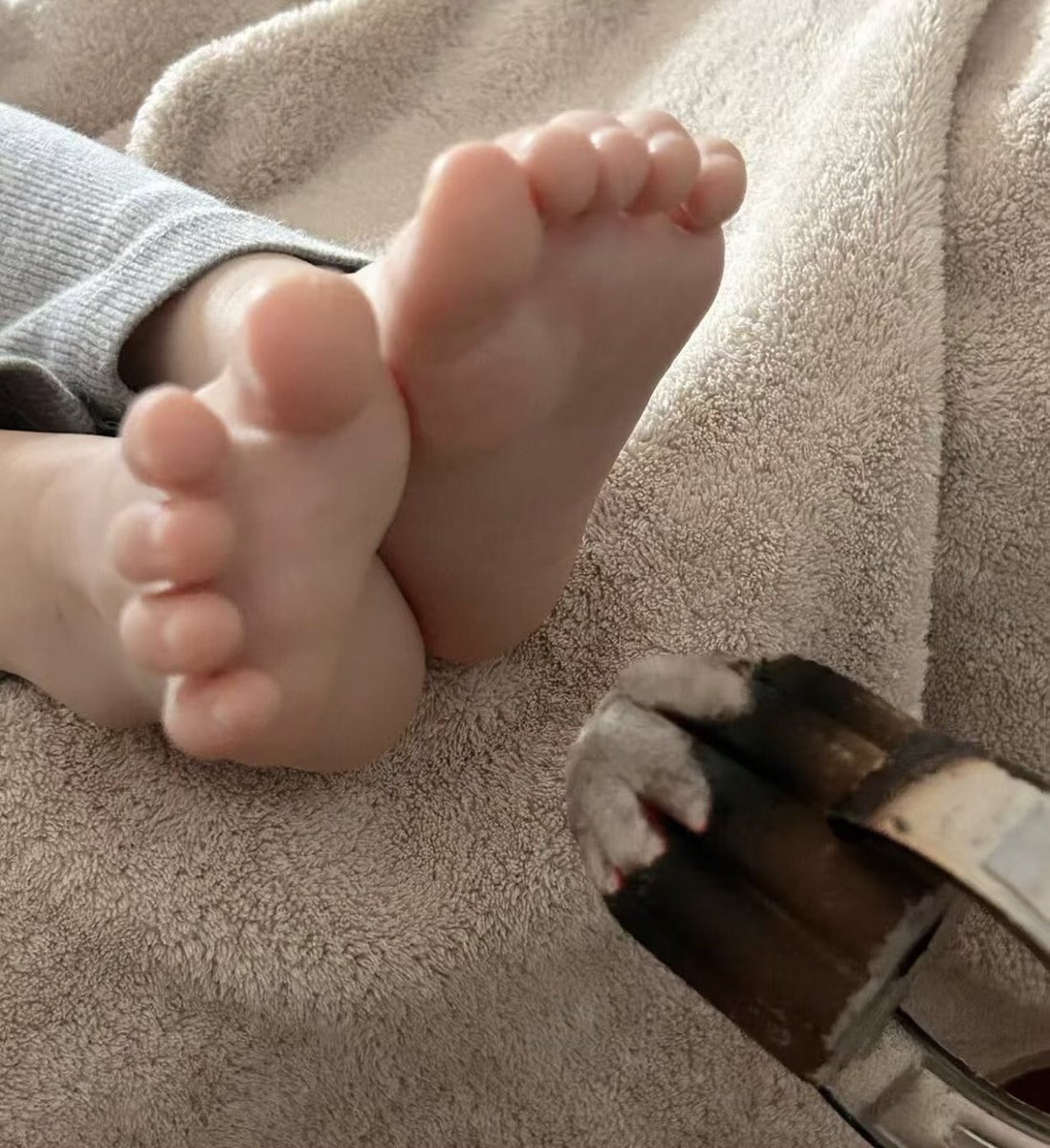 酸酸的小小 tweet media