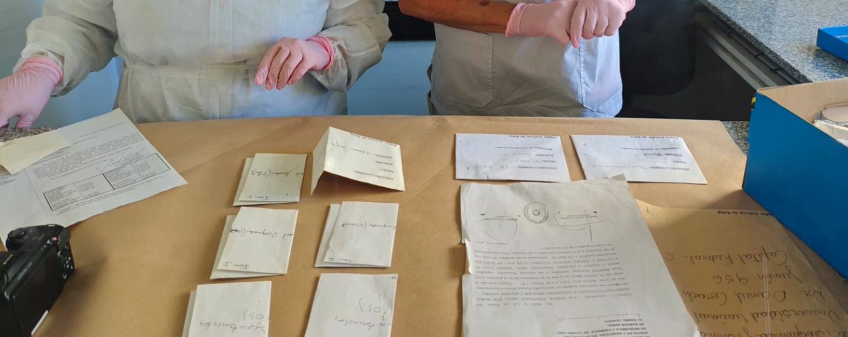 nortewebsalta's tweet image. Doble femicidio de las ciudadanas francesas: Se realizó el traslado de hisopados desde Buenos Aires a la ciudad de Salta #Judiciales #MPFS #Salta 

Los remanentes de las muestras tomadas oportunamente a las víctimas, se encontraban en el Laboratorio de Huellas Genéticas de la