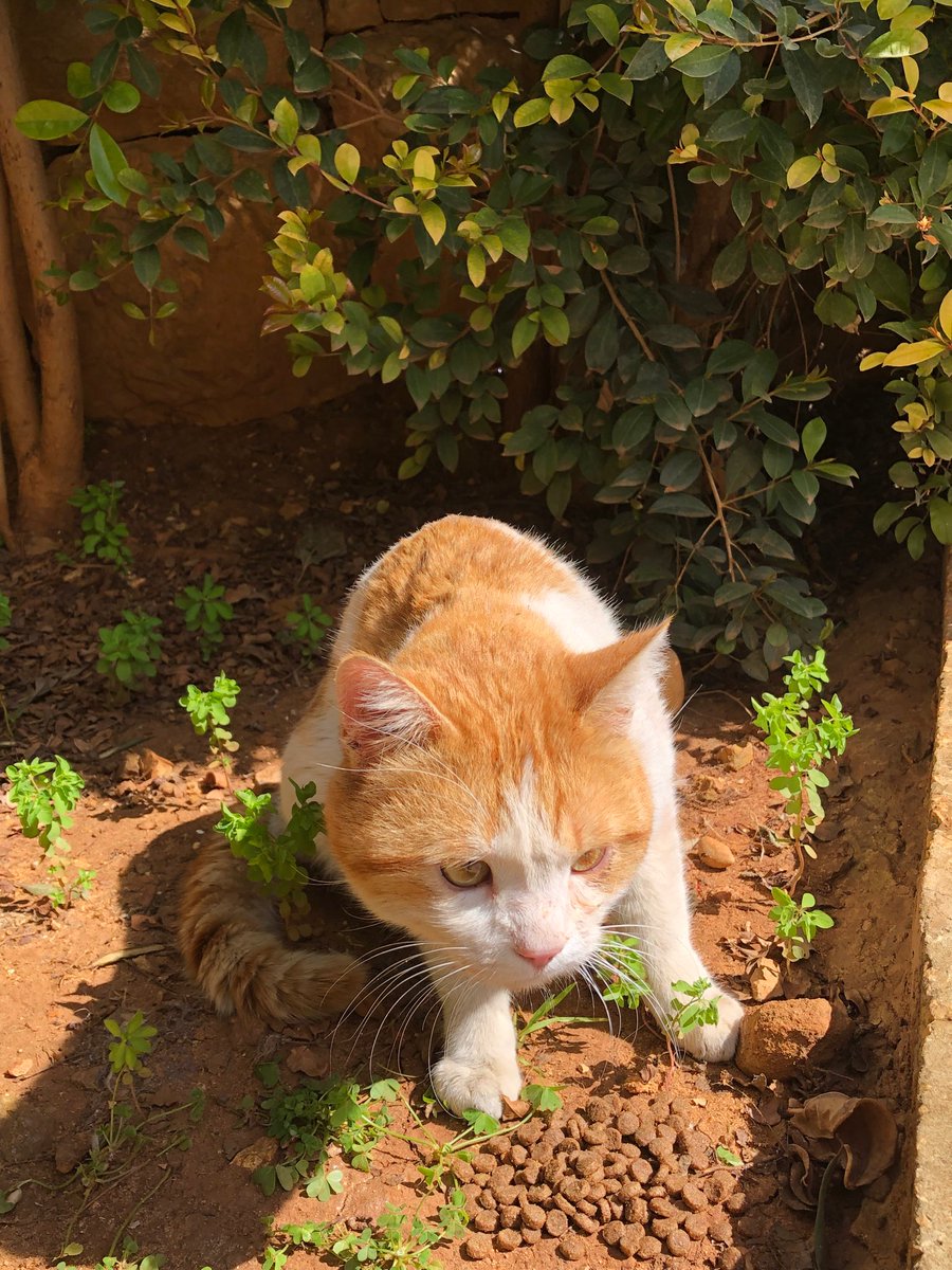 Marie Nassar3 tweet media