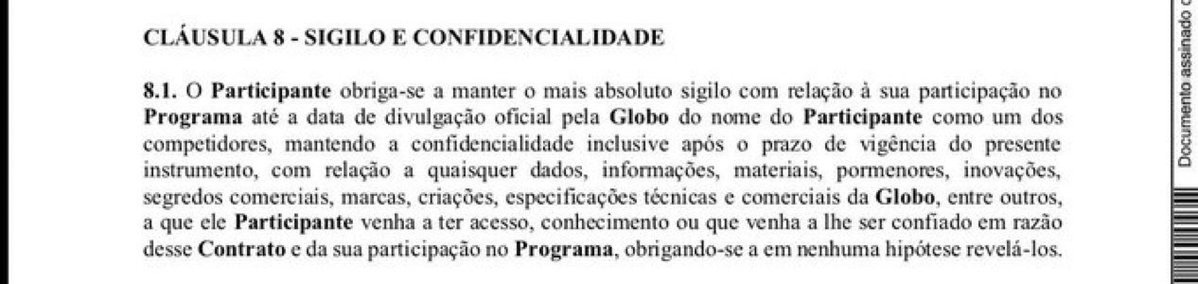 chinchila 🧙♀️ tweet media