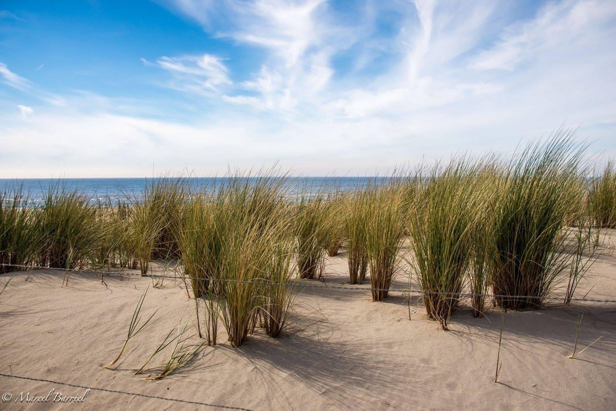 Ⓜ️arcel ☺️ tweet media