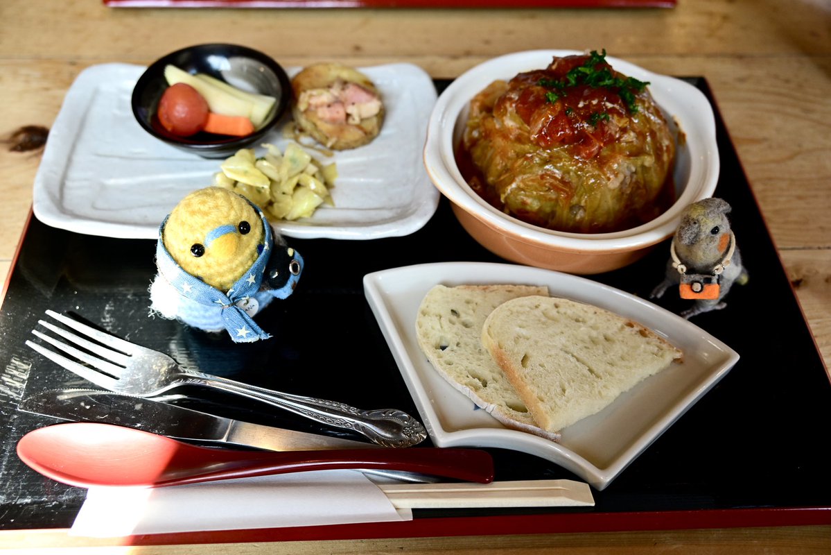 オカメインコ　ココ tweet media