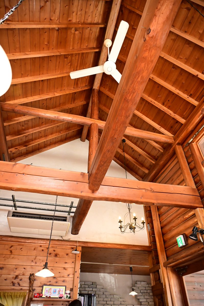 オカメインコ　ココ tweet media