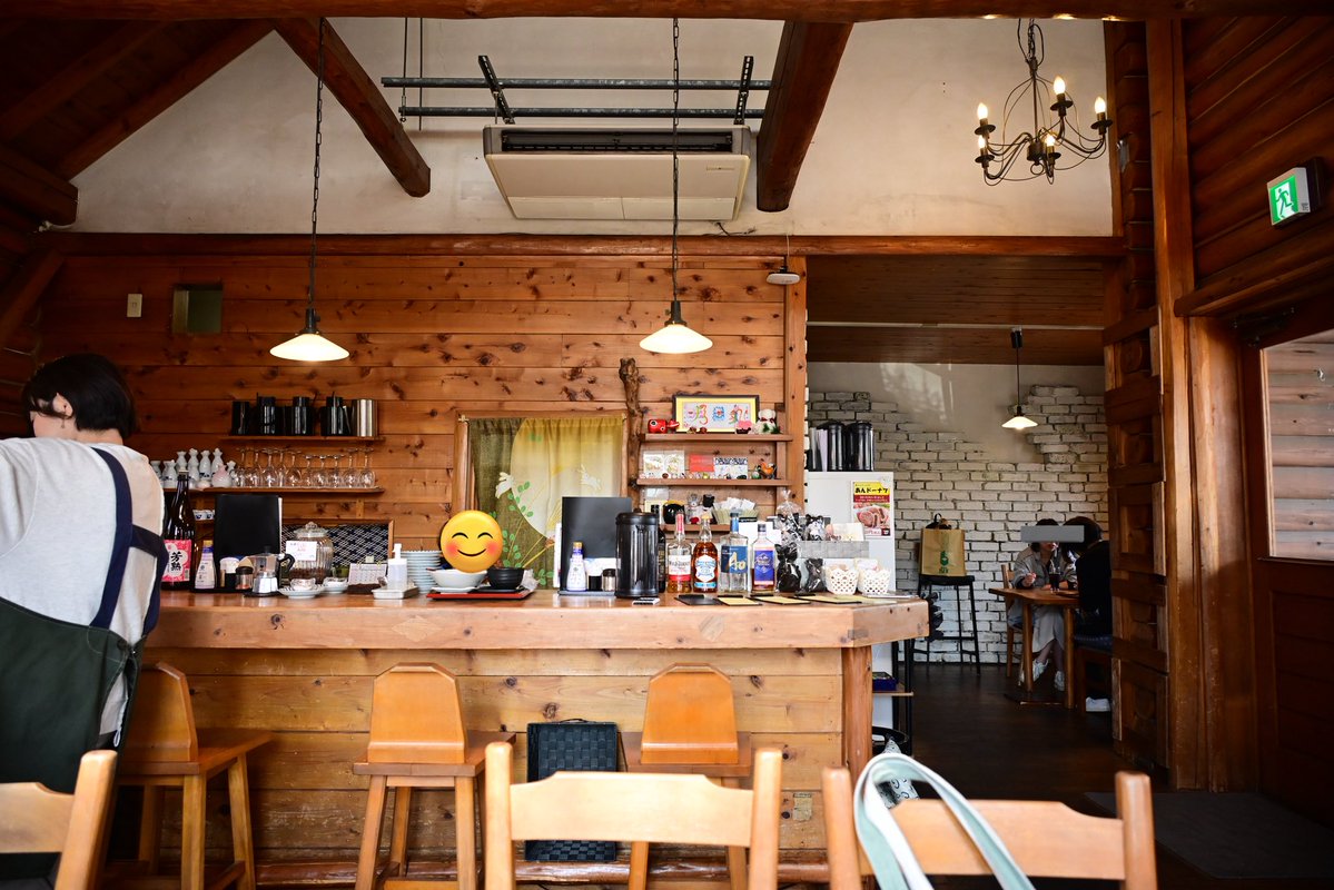 オカメインコ　ココ tweet media