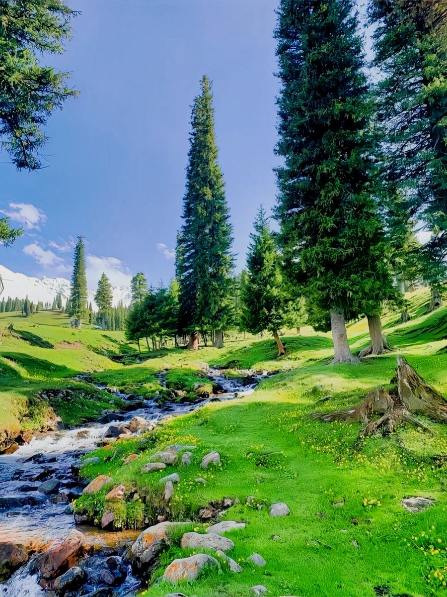 Tony Downey tweet media