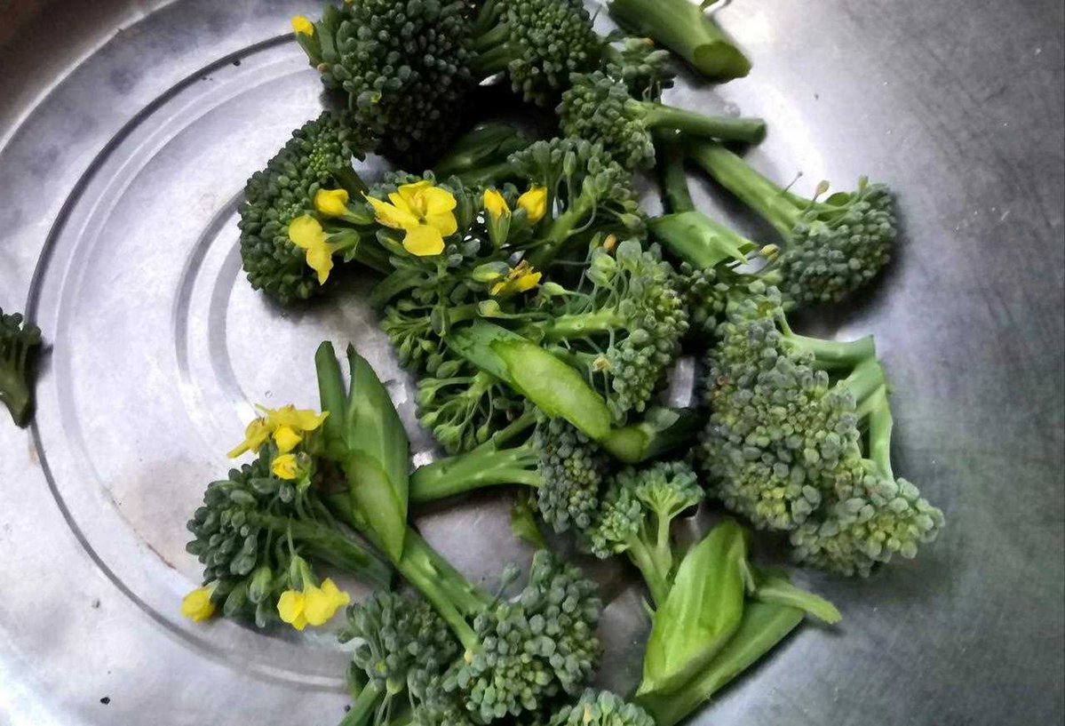 Moonie218 tweet media