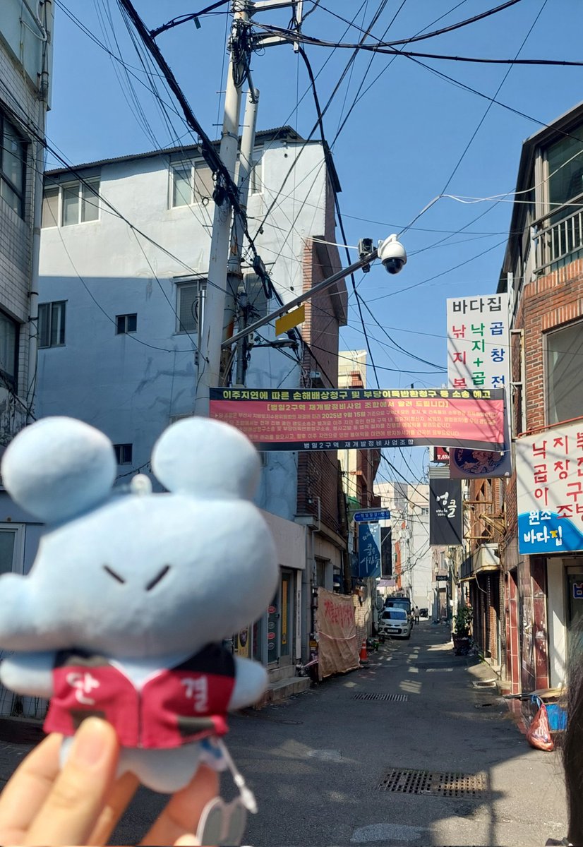 무어별🕯🍉🌺 tweet media