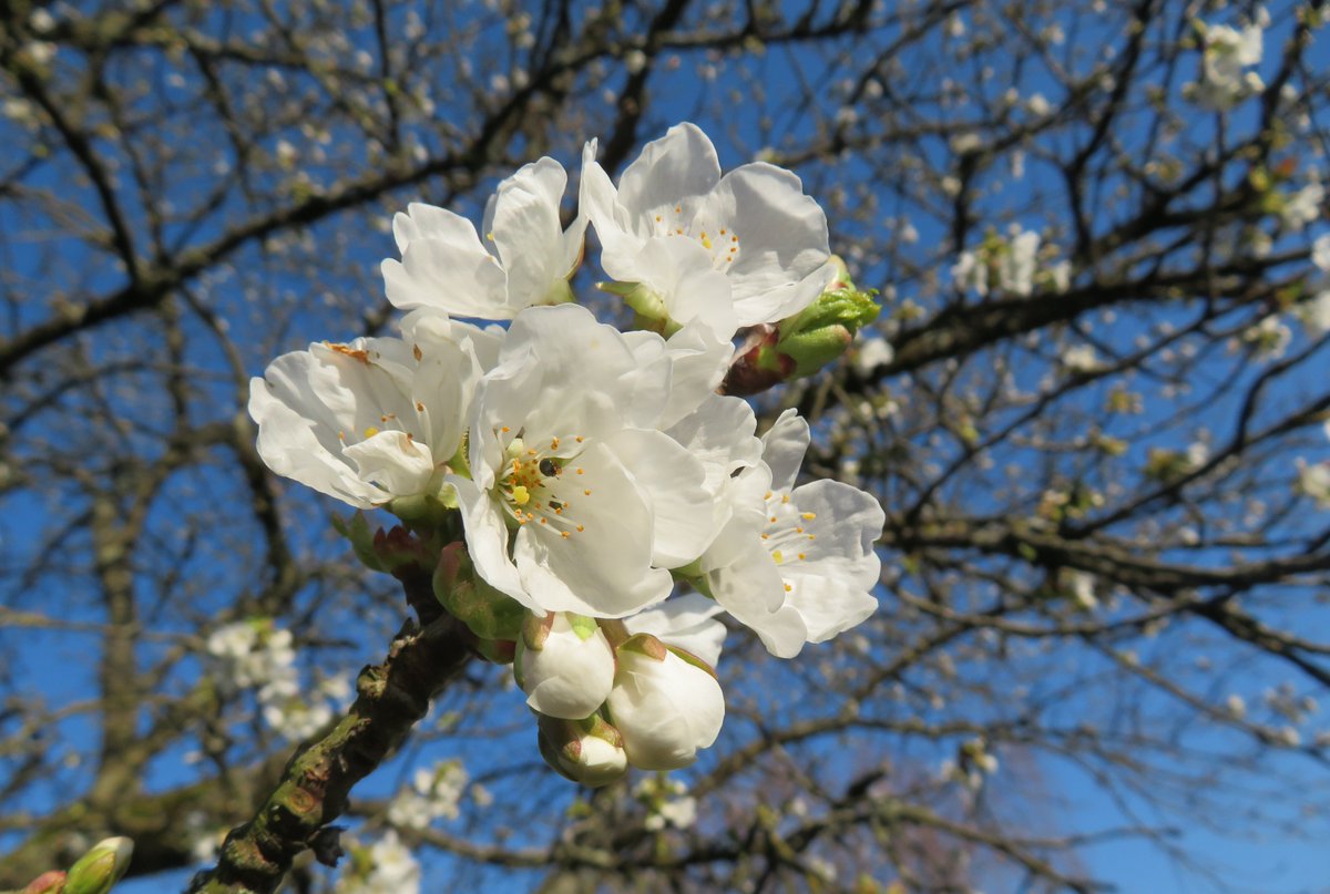 PlanPlan-Bilou tweet media