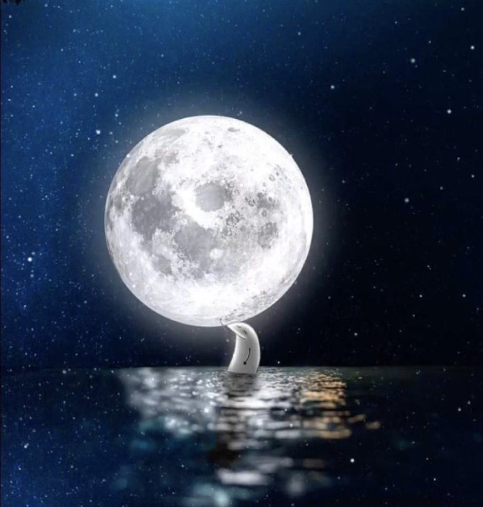 HerdOfFlorks tweet media