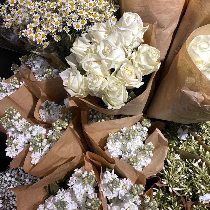 nasya f. tweet media