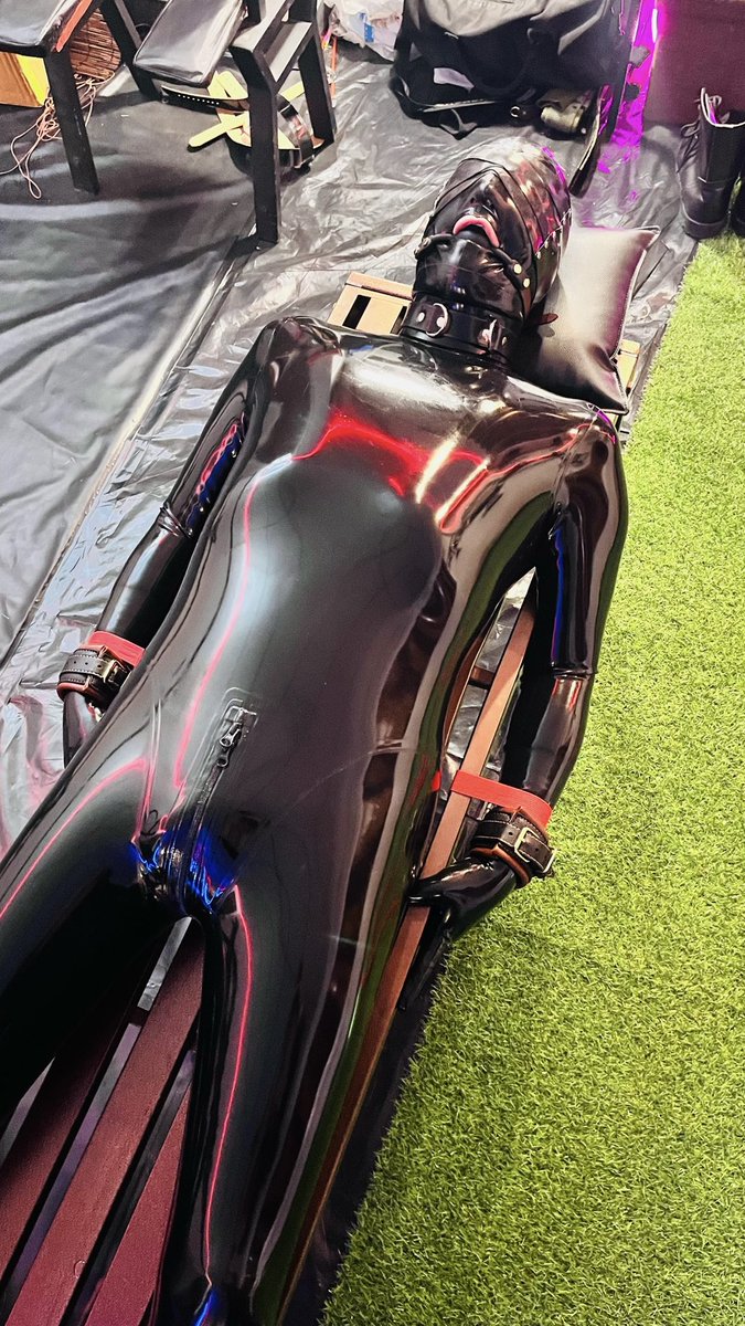 MattRubPup tweet media