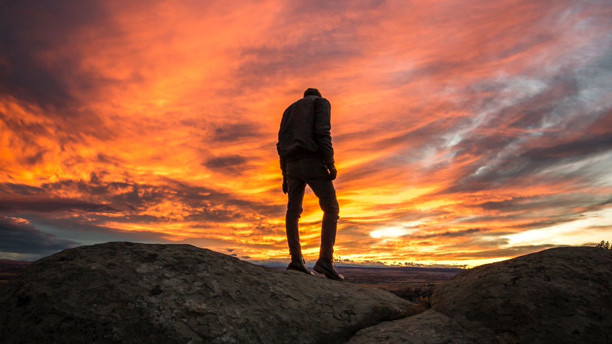 leanne rae adams tweet media