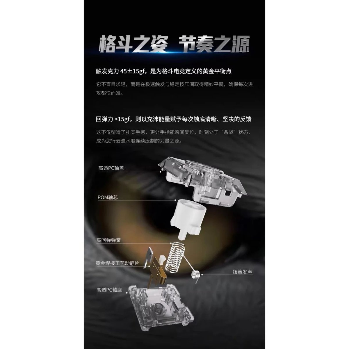 TALPKEYBOARD tweet media