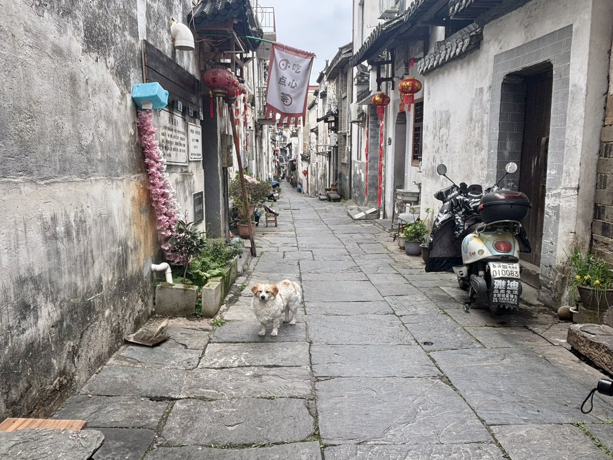 上海在住のえいちゃん tweet media