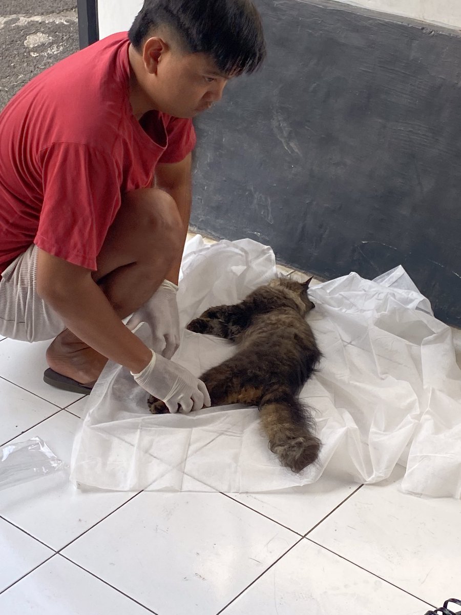 Gumpalan Bulu💔🥀🥀🥀 tweet media