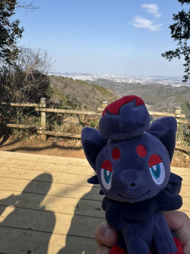 れぇぐ🐺 tweet media