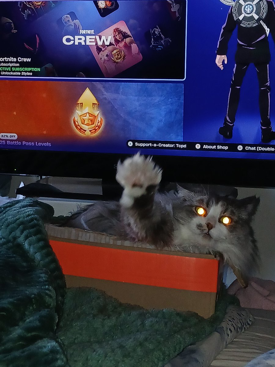 Kicki Östman tweet media