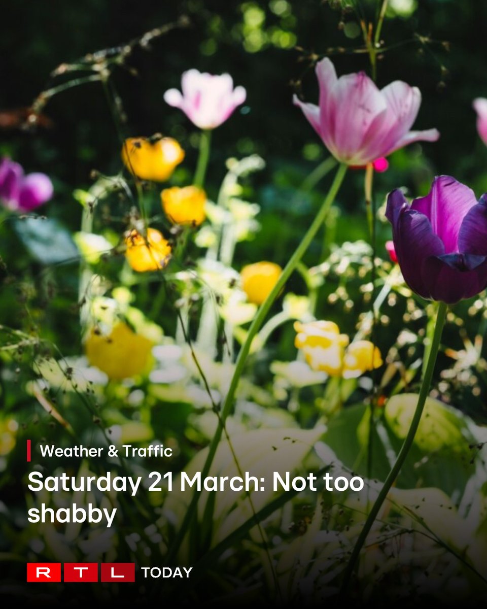 RTL Today tweet media