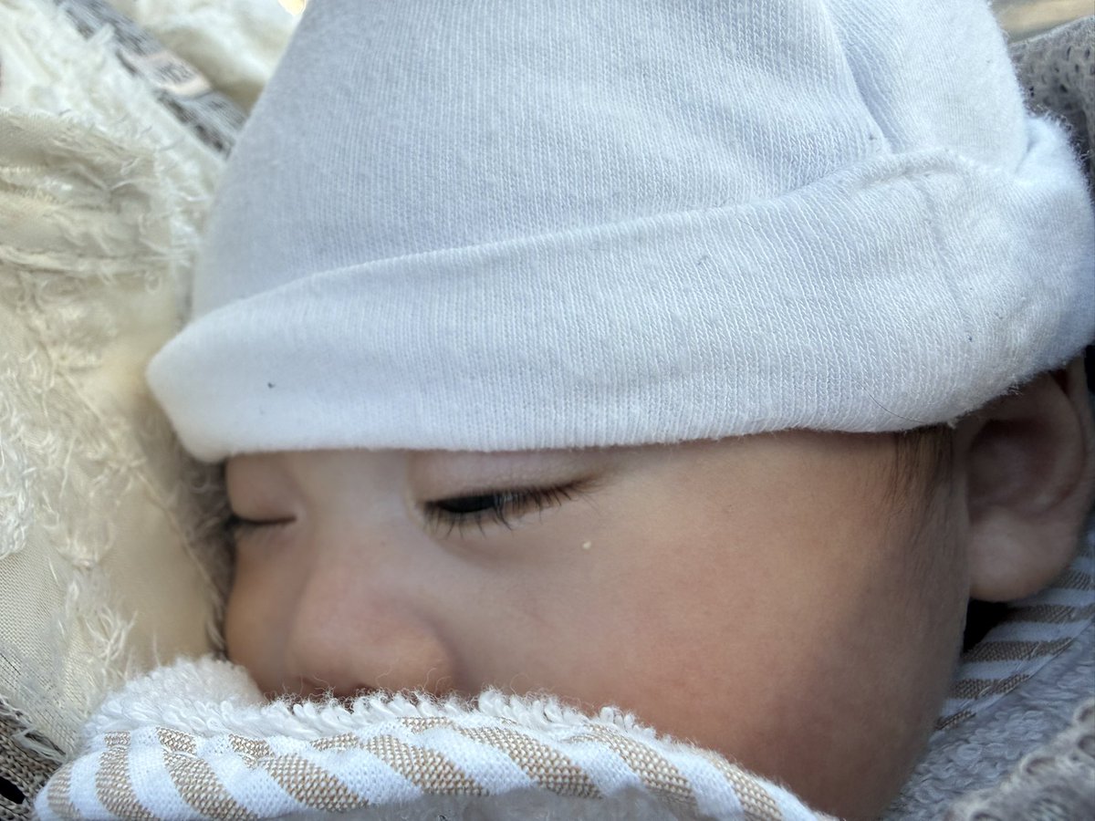 HelloGeorge2021's tweet photo. めをあけてねるけい、だんし。 https://t.co/Ppjdx6GKqa