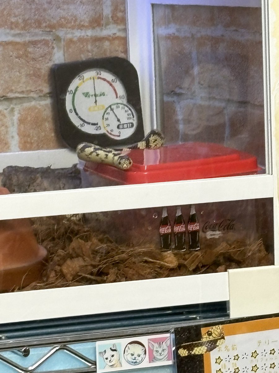 モロッコヨーグルト tweet media