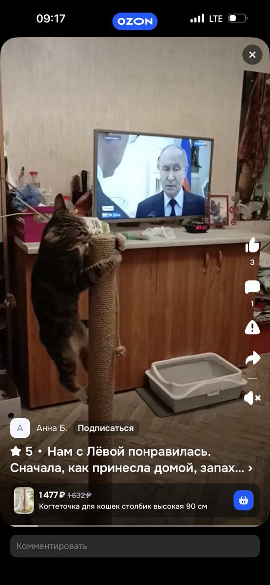 Валя tweet media