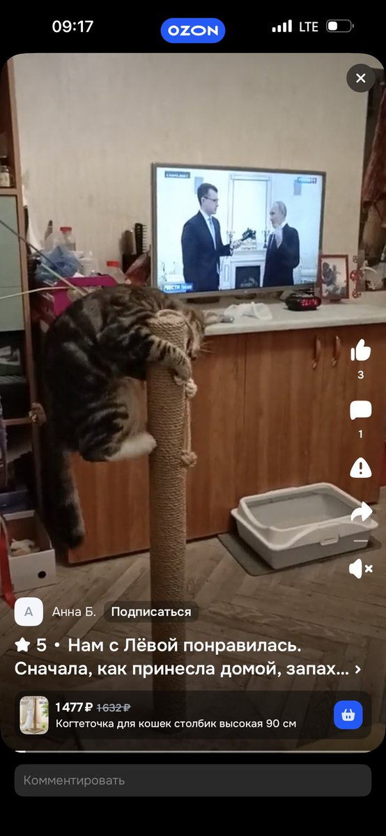 Валя tweet media