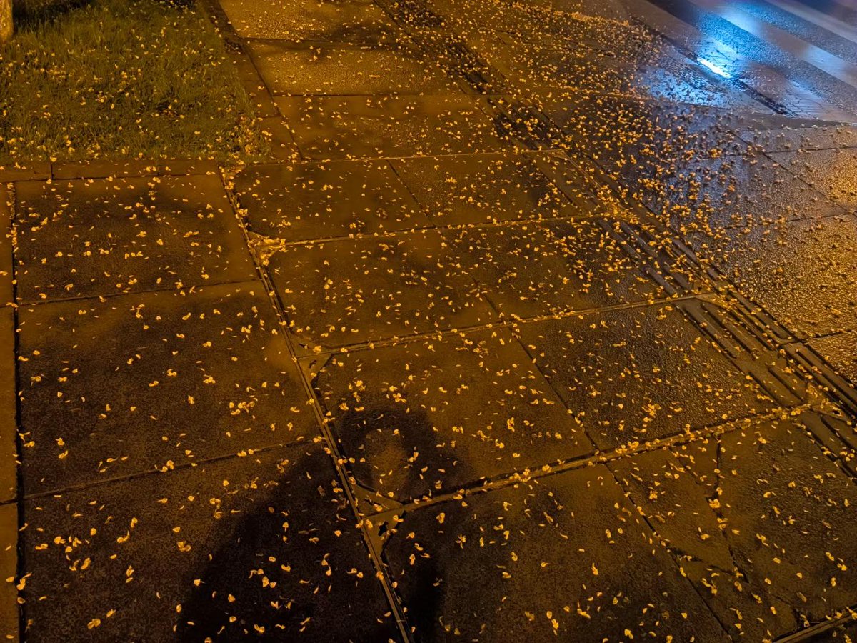 martin childs tweet media