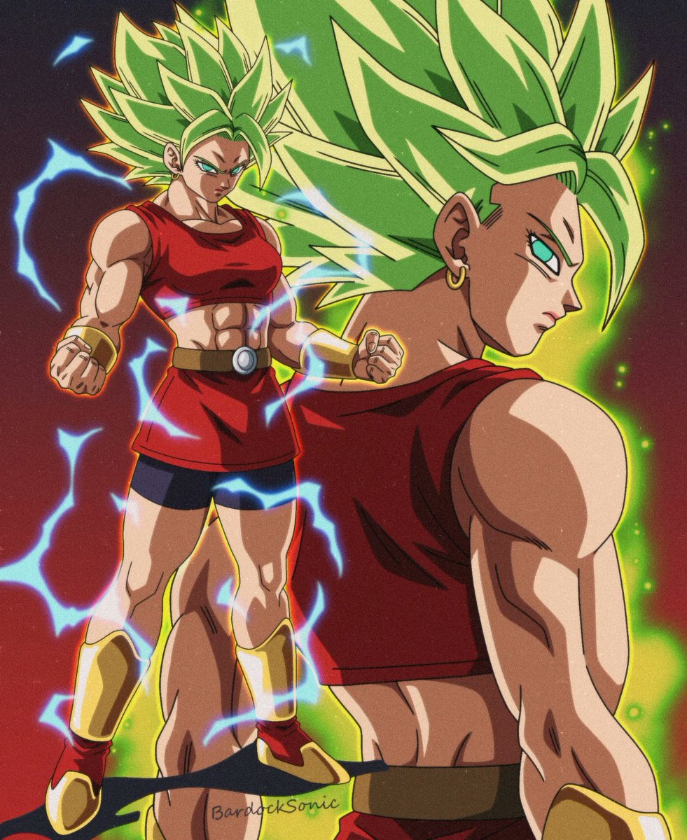 BardockSonic tweet media