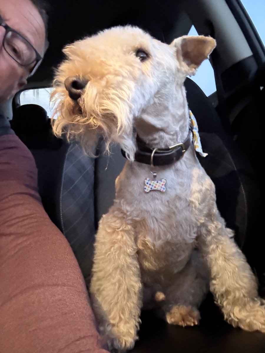 Bertie Lakeland tweet media