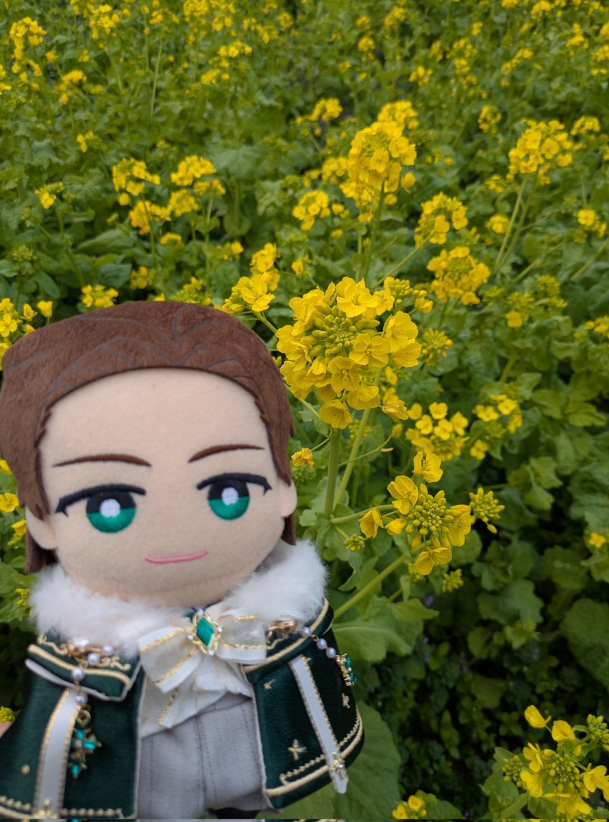 らんらん🍋🍈 tweet media