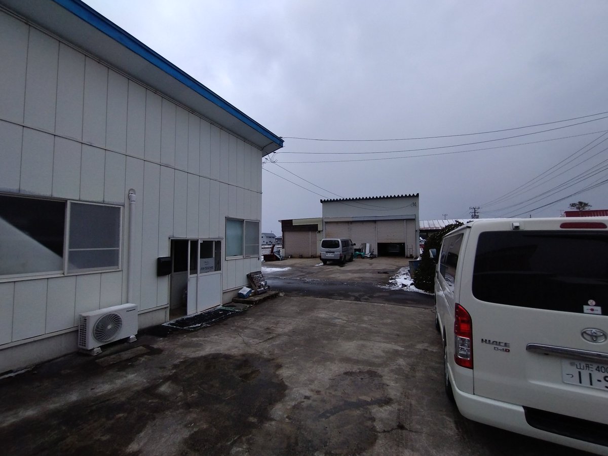 ༺腐れシャリイ ぺち༻ tweet media