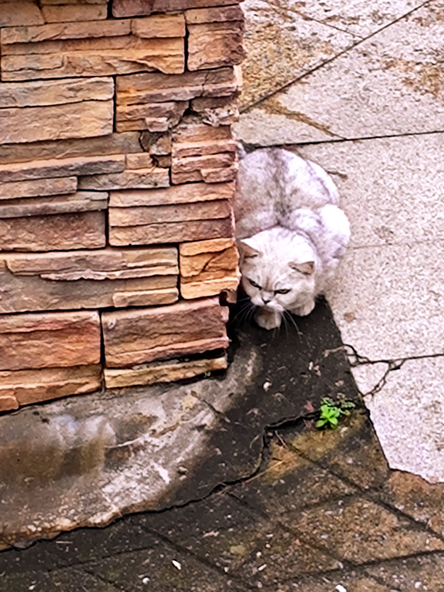 Jeroen Snijder tweet media