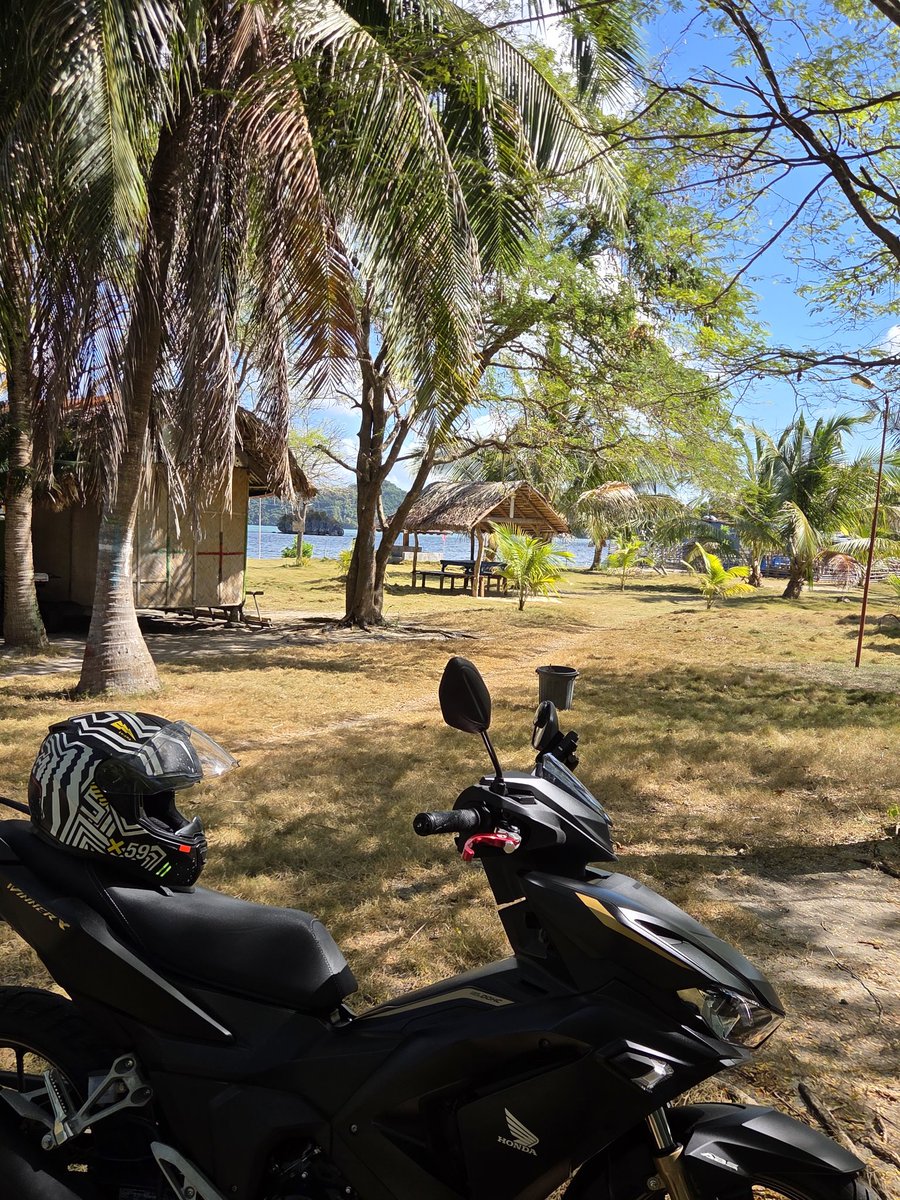 SecondOffense➕️ tweet media