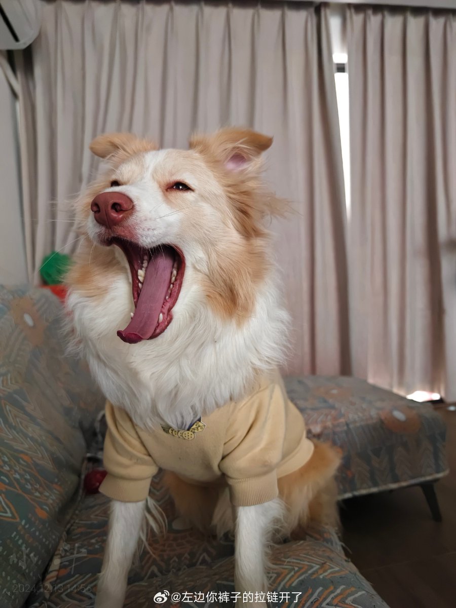  Wendy Larodhe tweet media